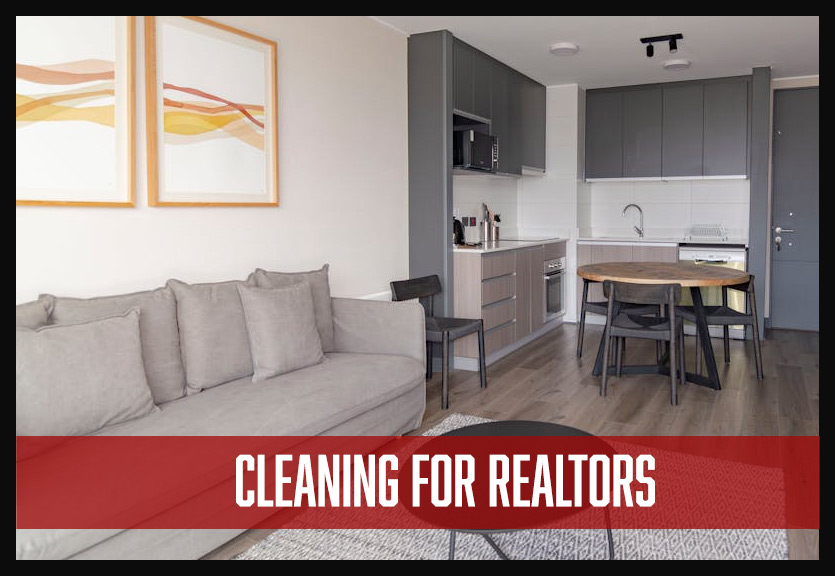 CEO Home and Commercial Cleaning Services